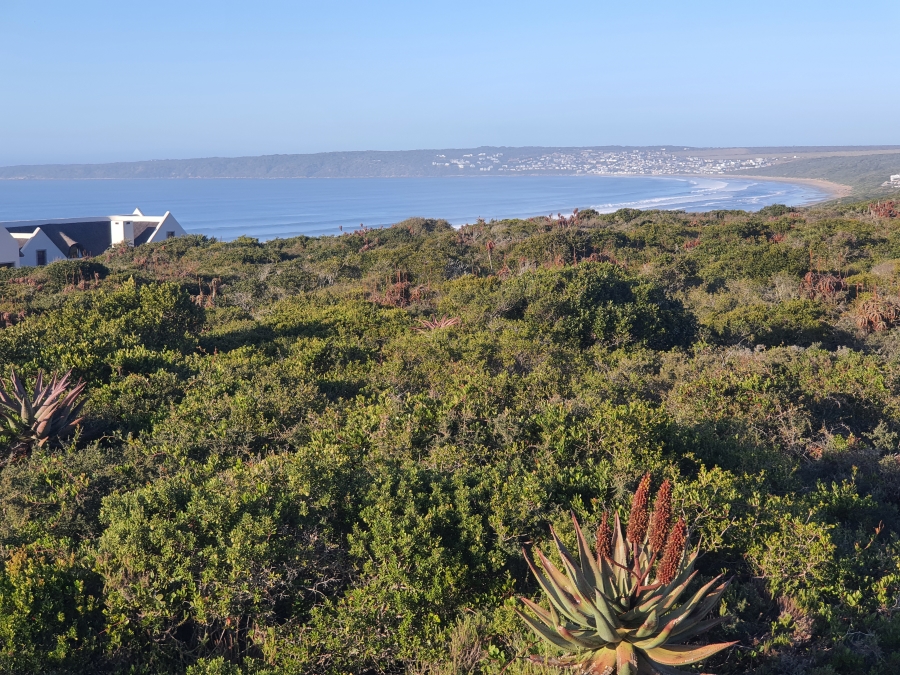 0 Bedroom Property for Sale in Boggomsbaai Western Cape